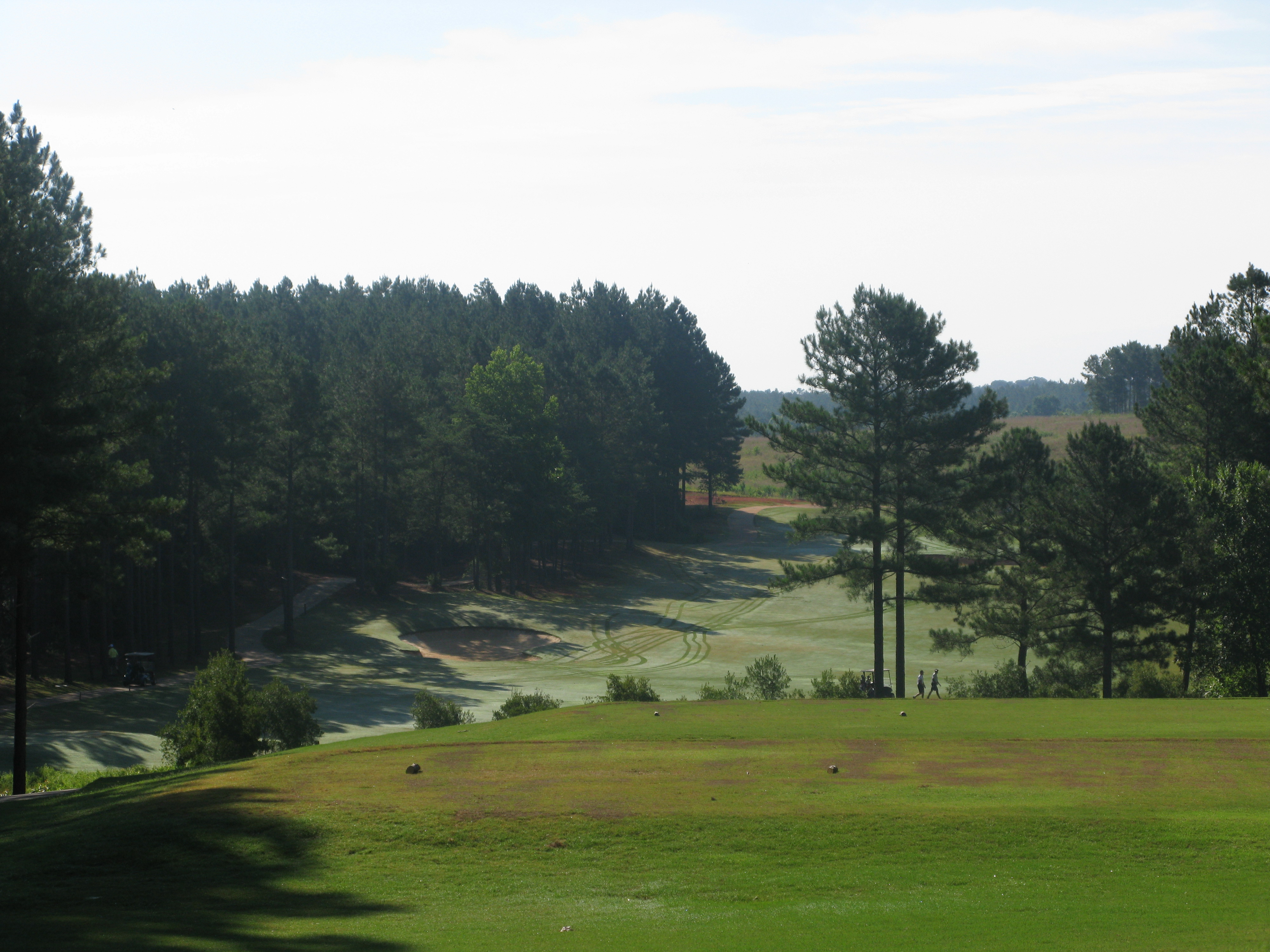 view of golf course with trees