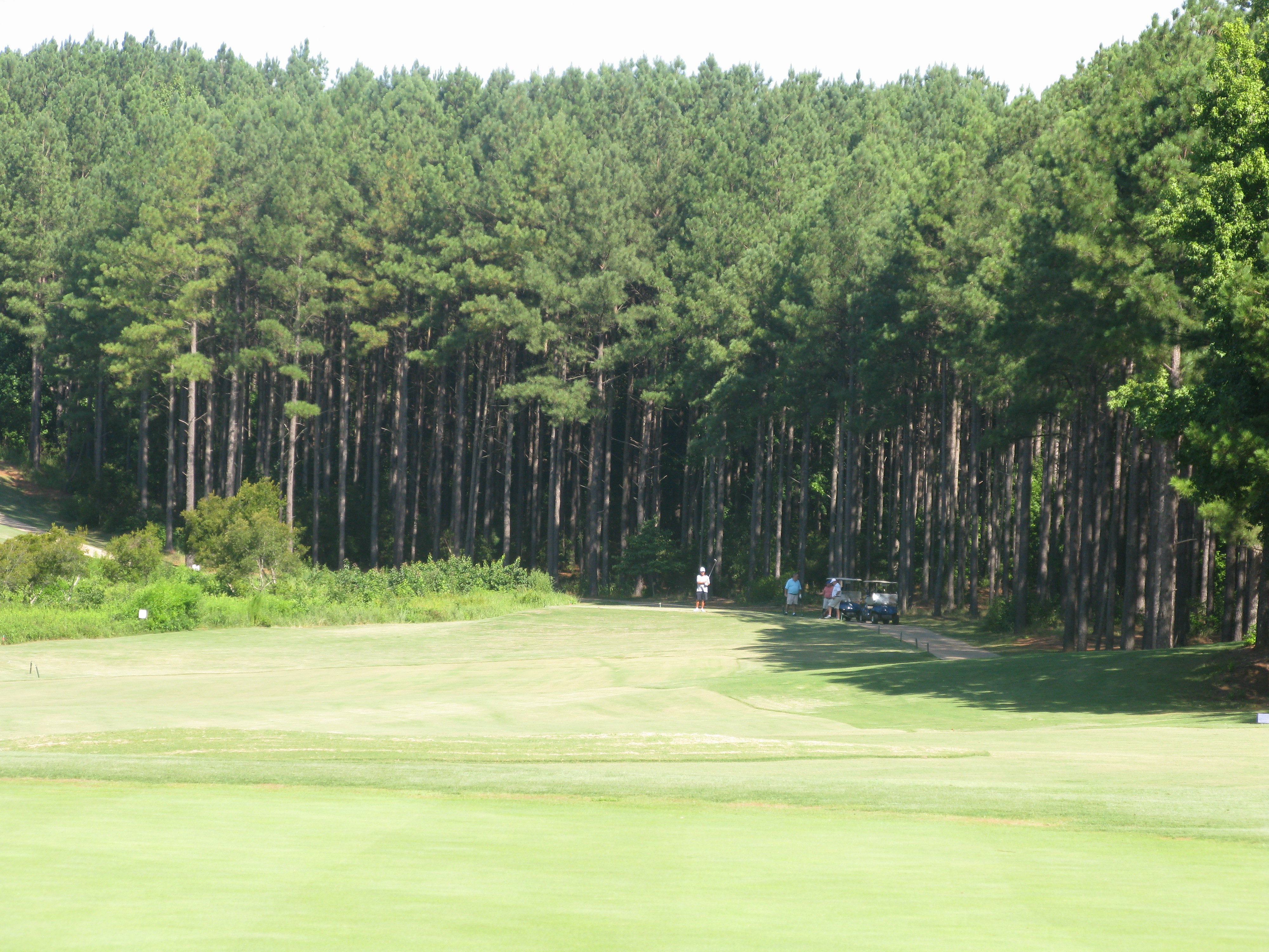 View of golf course with trees