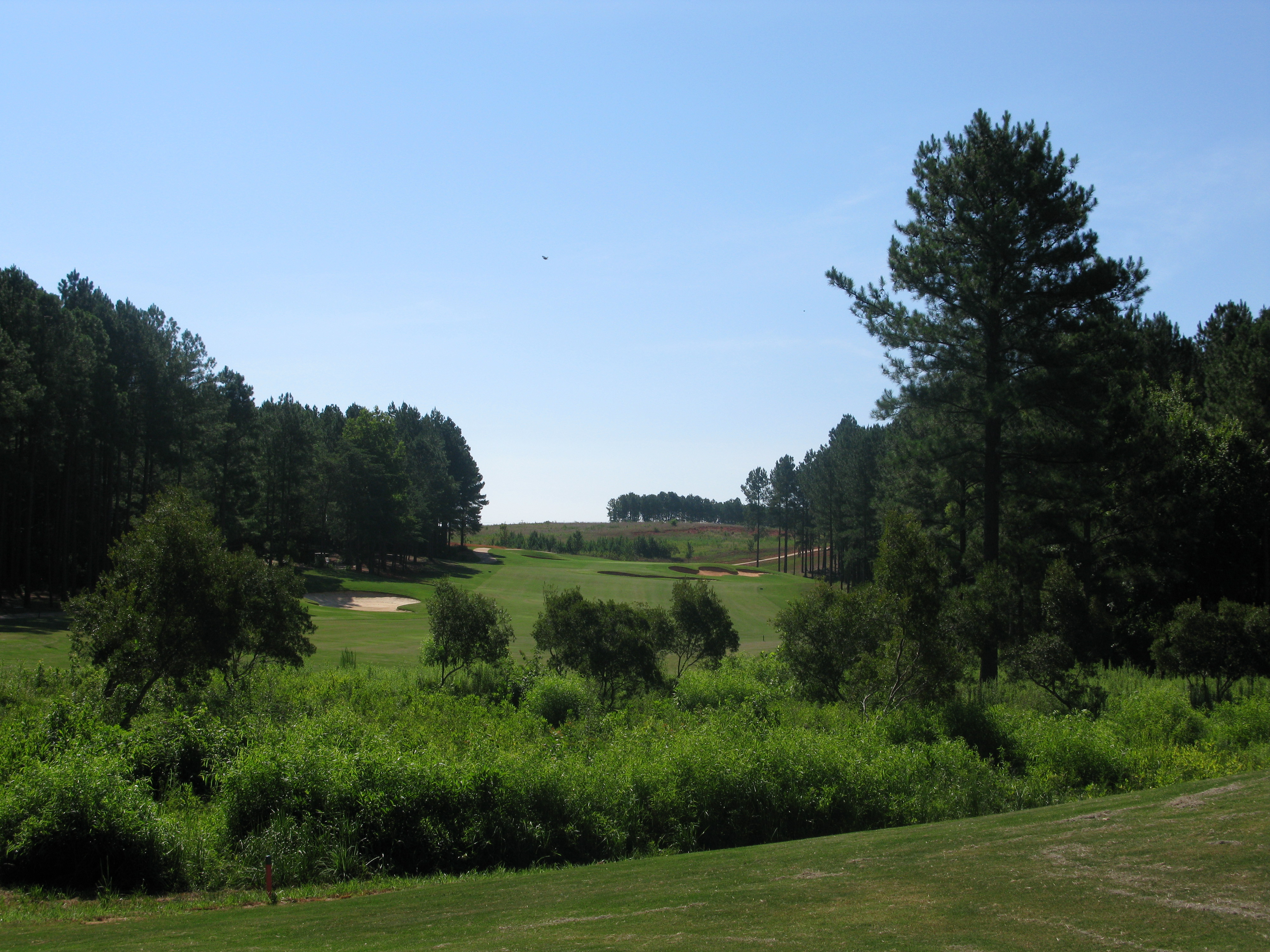 Golf course with trees