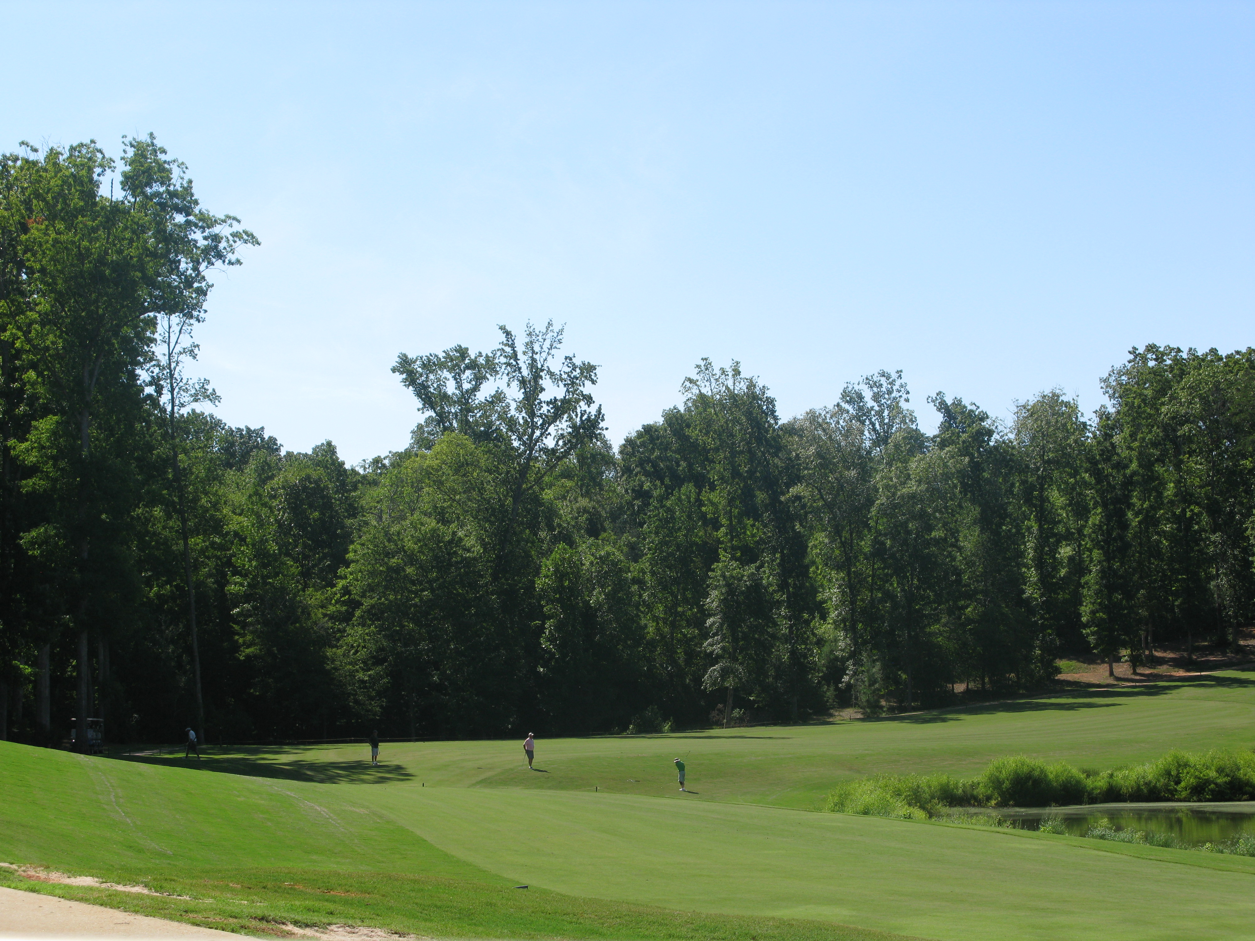 Golf course with trees
